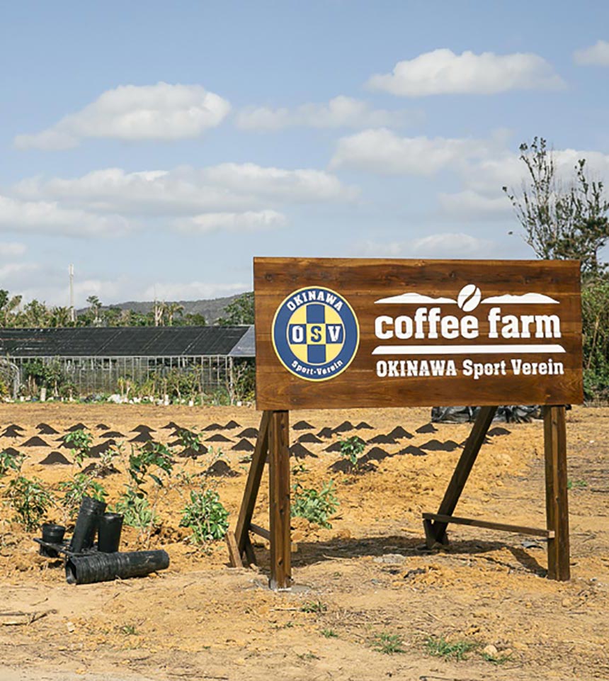 「沖縄コーヒープロジェクト」の農場