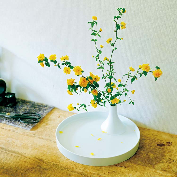 森永邦彦が好きな花