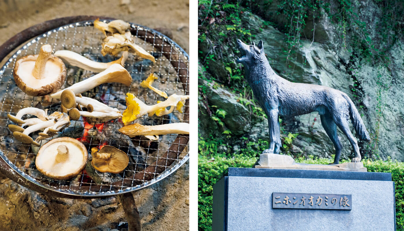 〈きのこの舘〉のキノコづくし料理、ニホンオオカミの等身大のブロンズ像