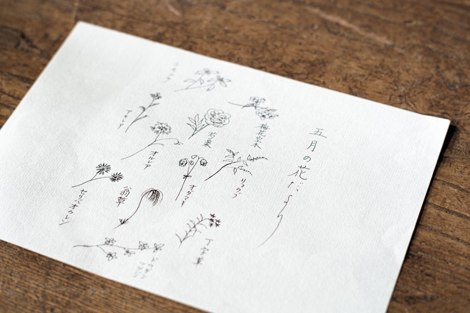 〈みたて〉西山隼人・美華、日々の花の飾り方