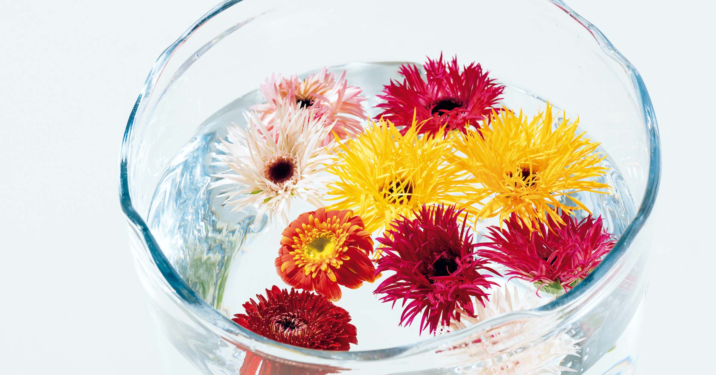 フローリスト直伝 ガーベラを生けるテクニック ブルータス Brutus Jp