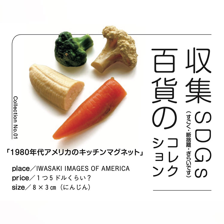 収集百貨 ハワイ マグネット