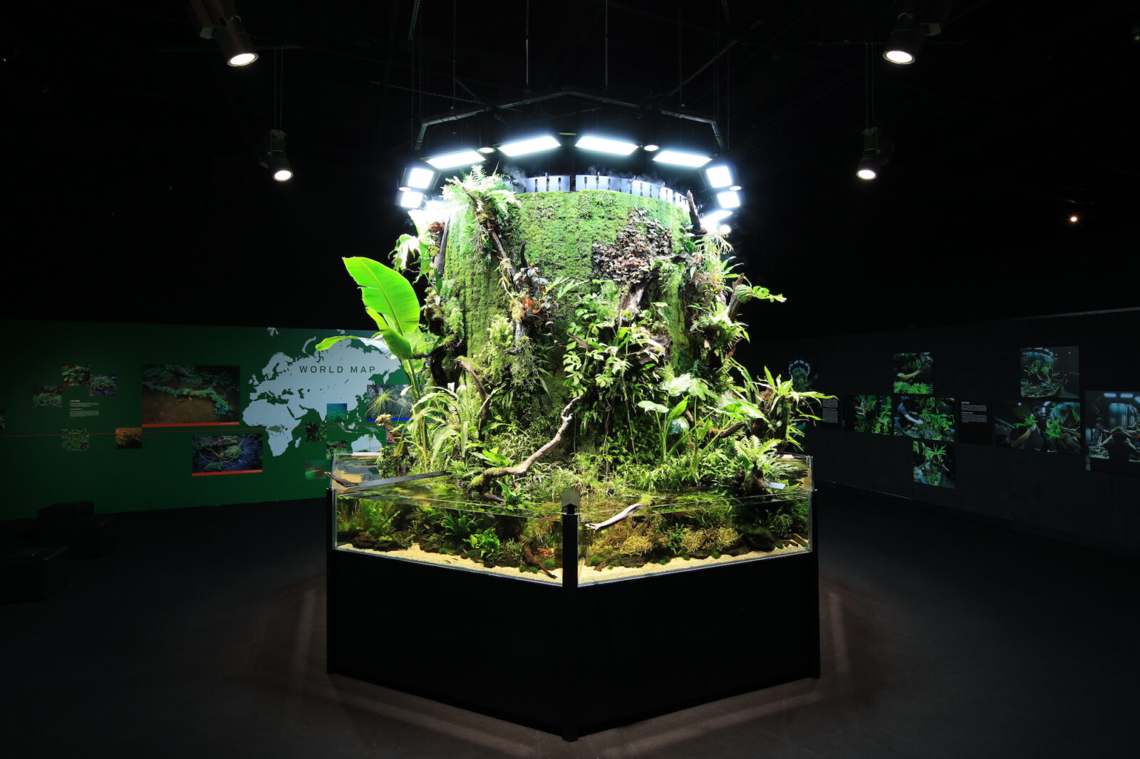 NATURE AQUARIUM EXHIBITION 2021 TOKYO|熱帯雨林雰囲気ムンムンのネイチャータワー360°