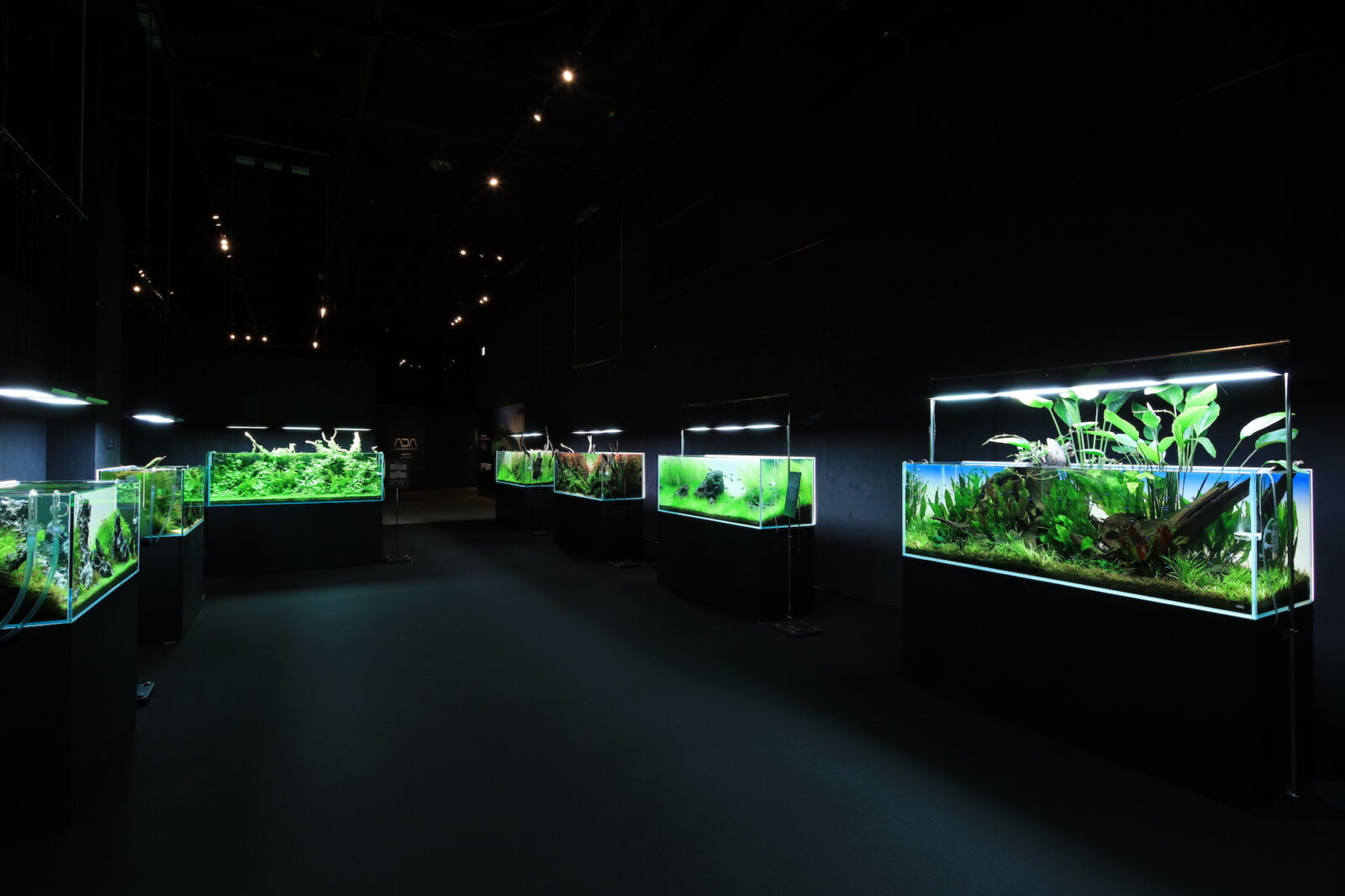 NATURE AQUARIUM EXHIBITION 2021 TOKYO|ADA水景クリエイターによる作品の数々