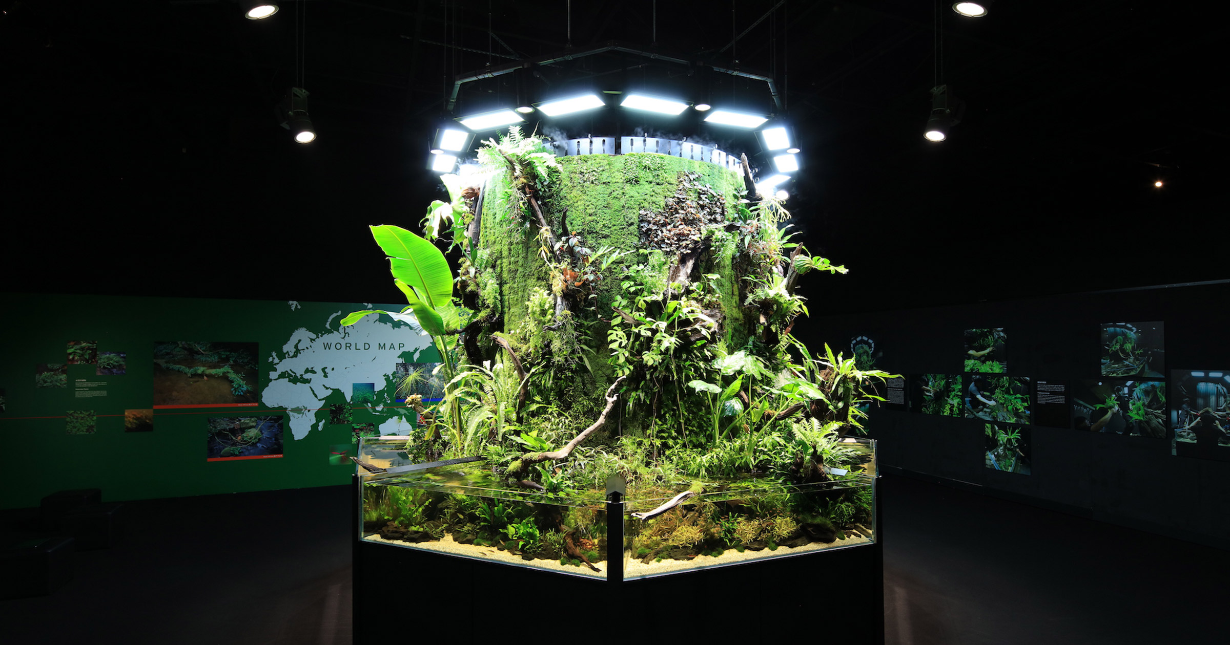 Nature Aquarium Exhibition 21 Tokyo 東京のド真ん中に 熱帯雨林が出現 ポップカルチャーの総合誌 ブルータス Brutus Jp