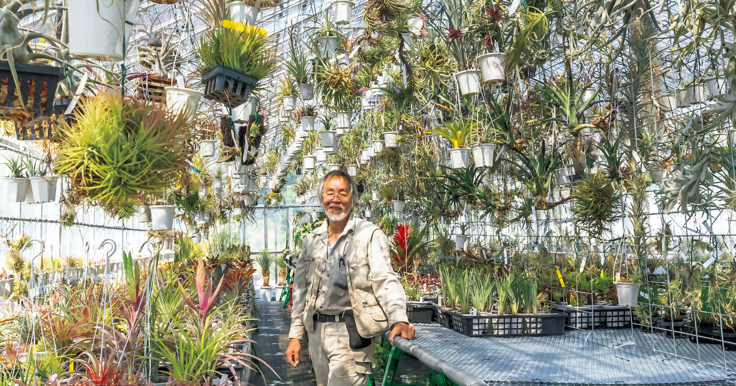 なんじゃこりゃ 西畠勲造のお宝 珍奇植物大解説 ブルータス Brutus Jp