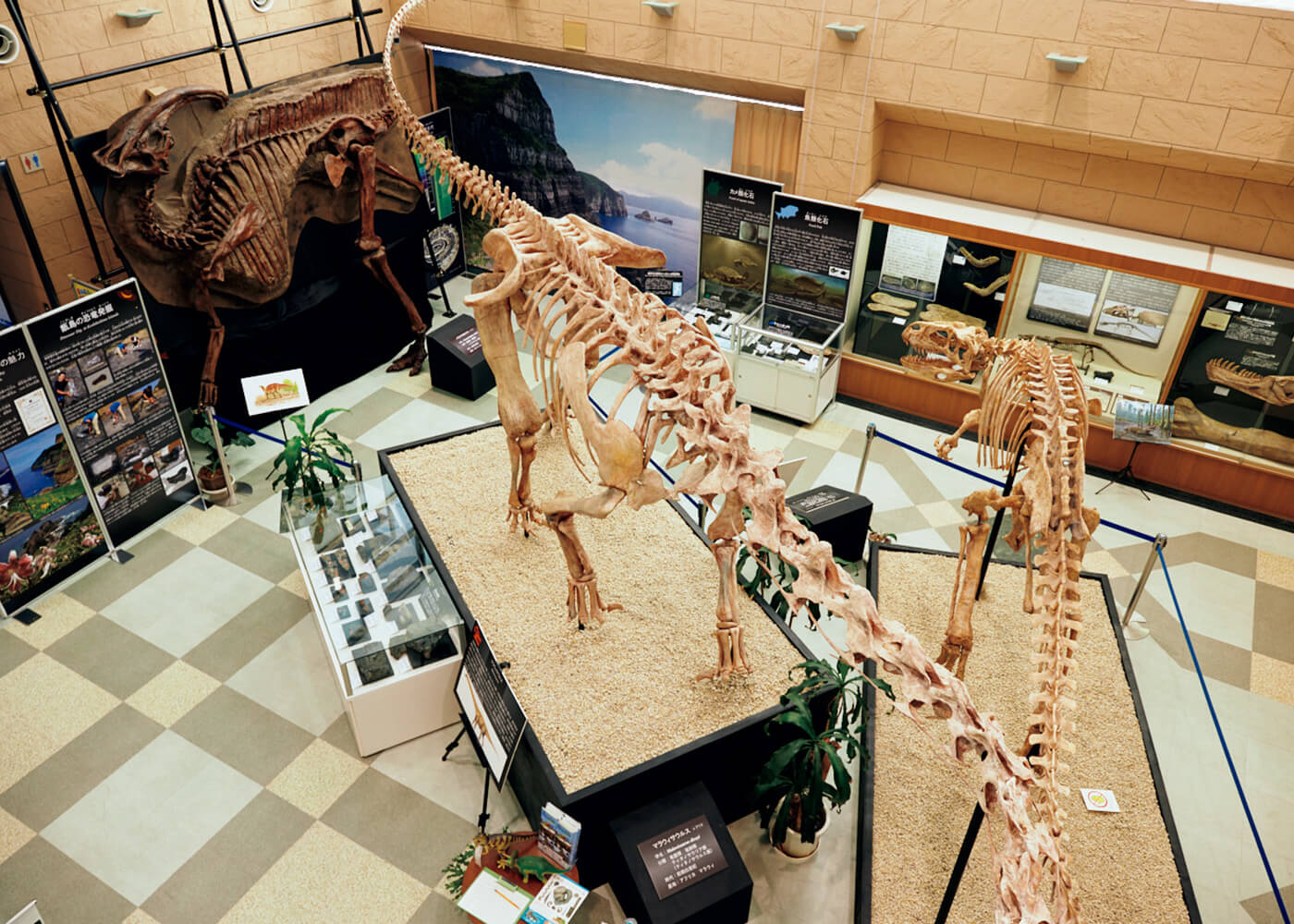 甑ミュージアム恐竜化石等準備室