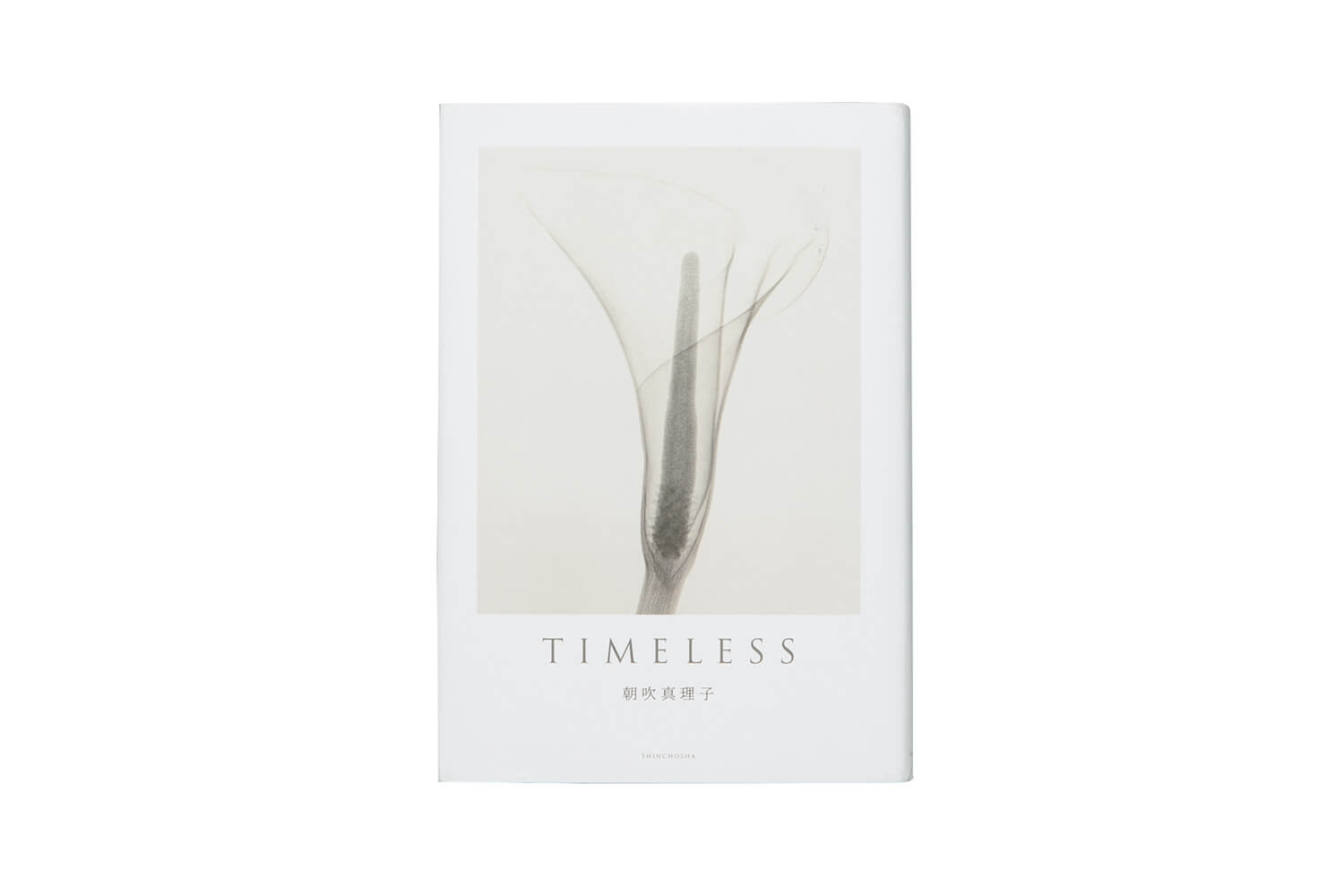 『TIMELESS』朝吹真理子