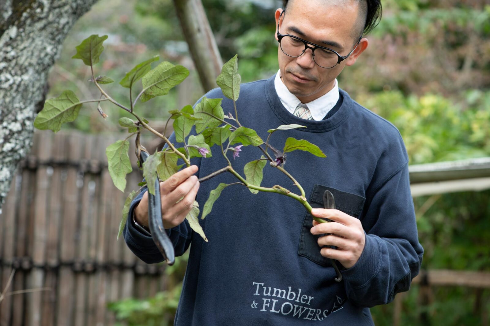 渡来 徹　いけばな　野菜
