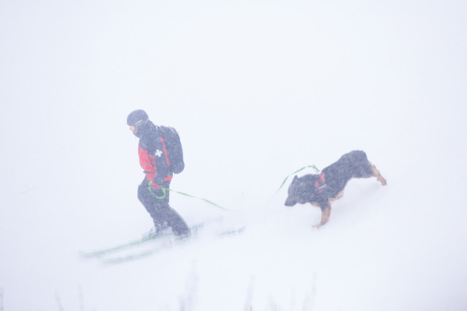 スキーパトロール隊員の相楽さんと雪崩救助犬のシャルル2