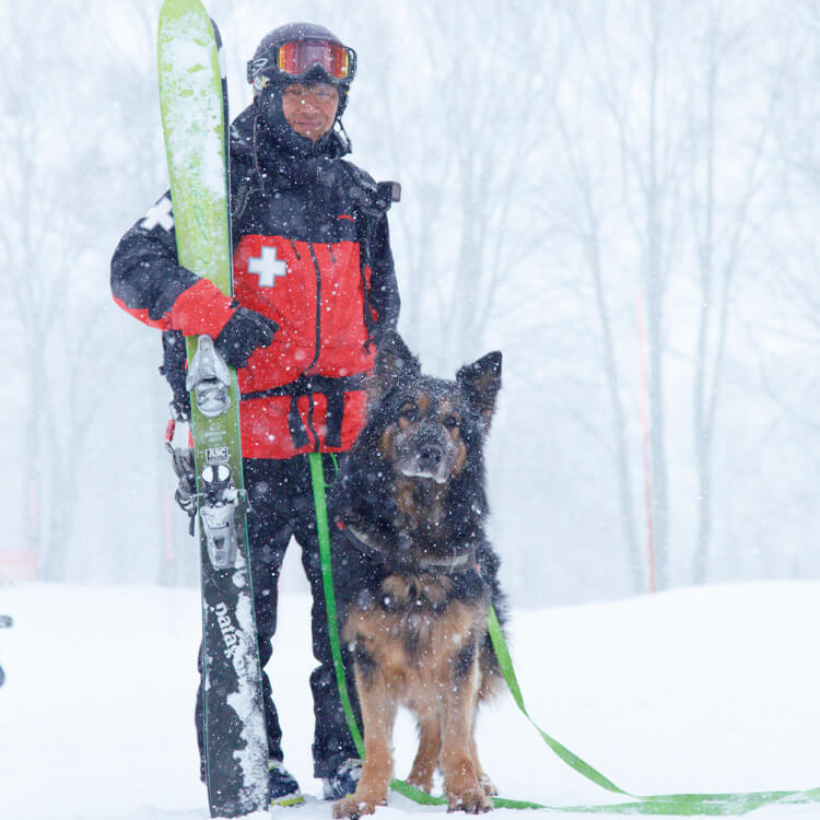 スキーパトロール隊員の相楽さんと雪崩救助犬のシャルル2
