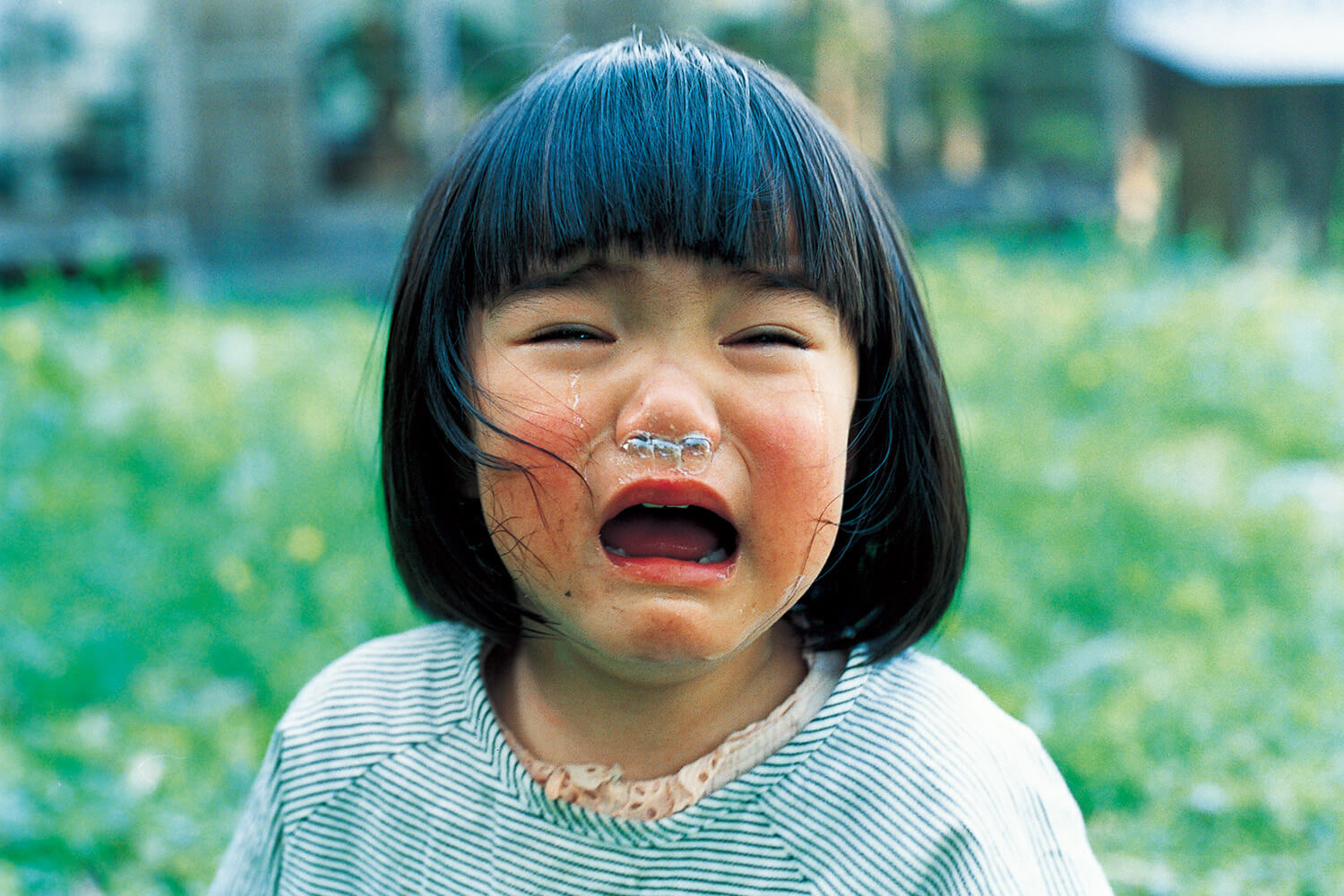 写真家 川島小鳥「作り込まない写真」子供 泣き顔