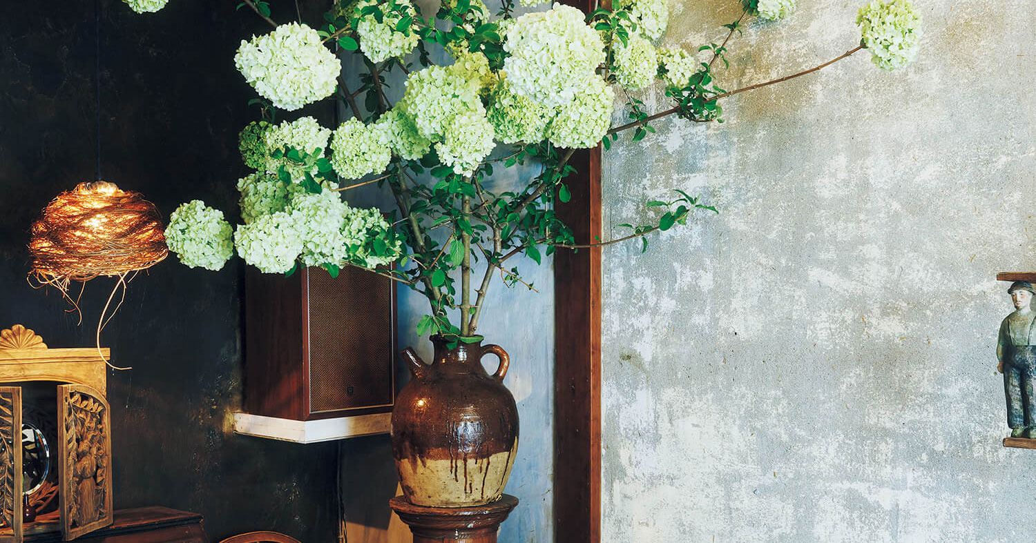 ハミングバードコーヒー 御用達の花屋さん 学芸大学 ザ ダッフォディルズ ブルータス Brutus Jp