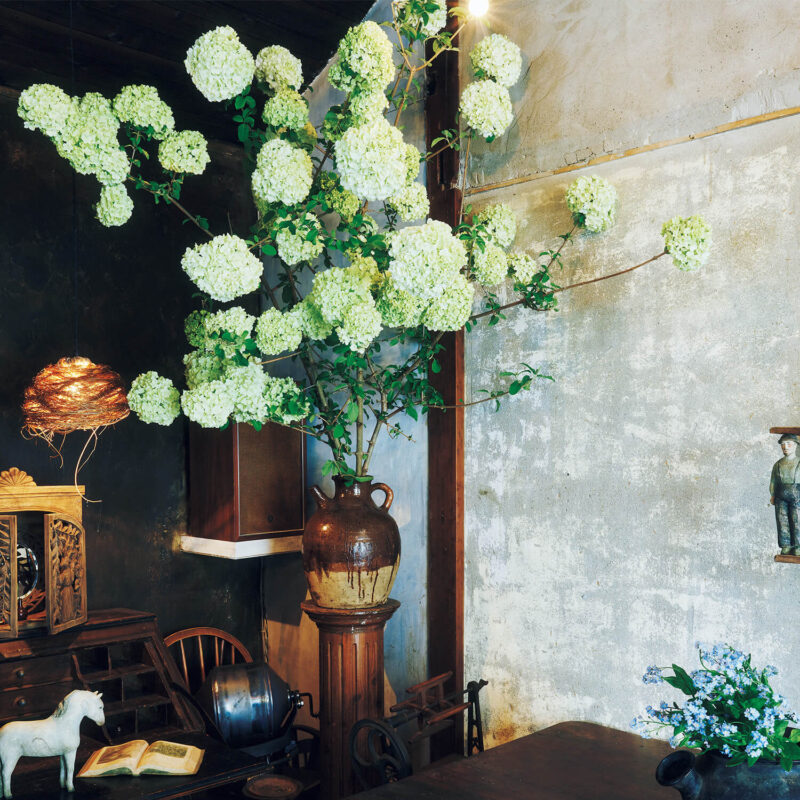 ハミングバードコーヒー御用達の花屋