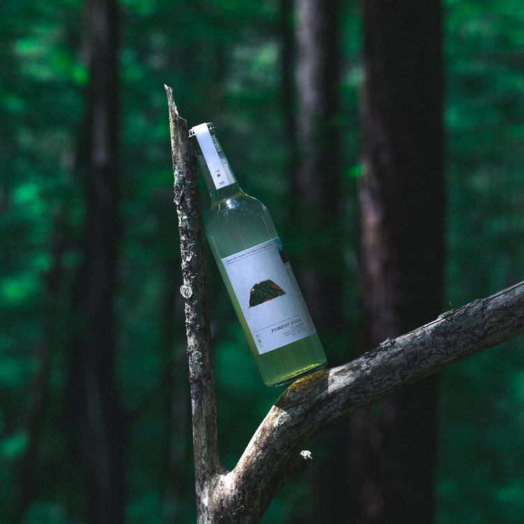 FOREST SODA