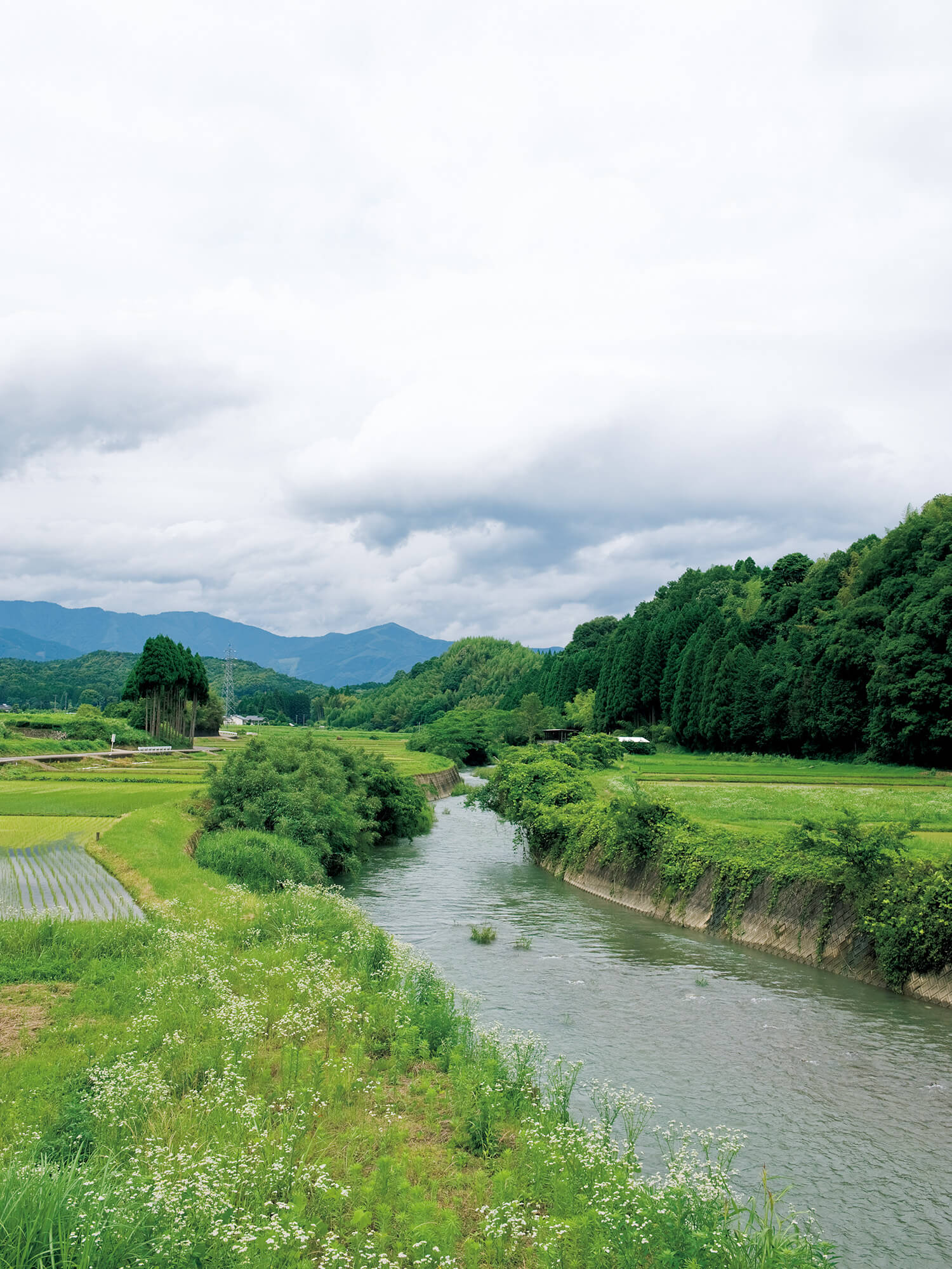 人吉の田園風景