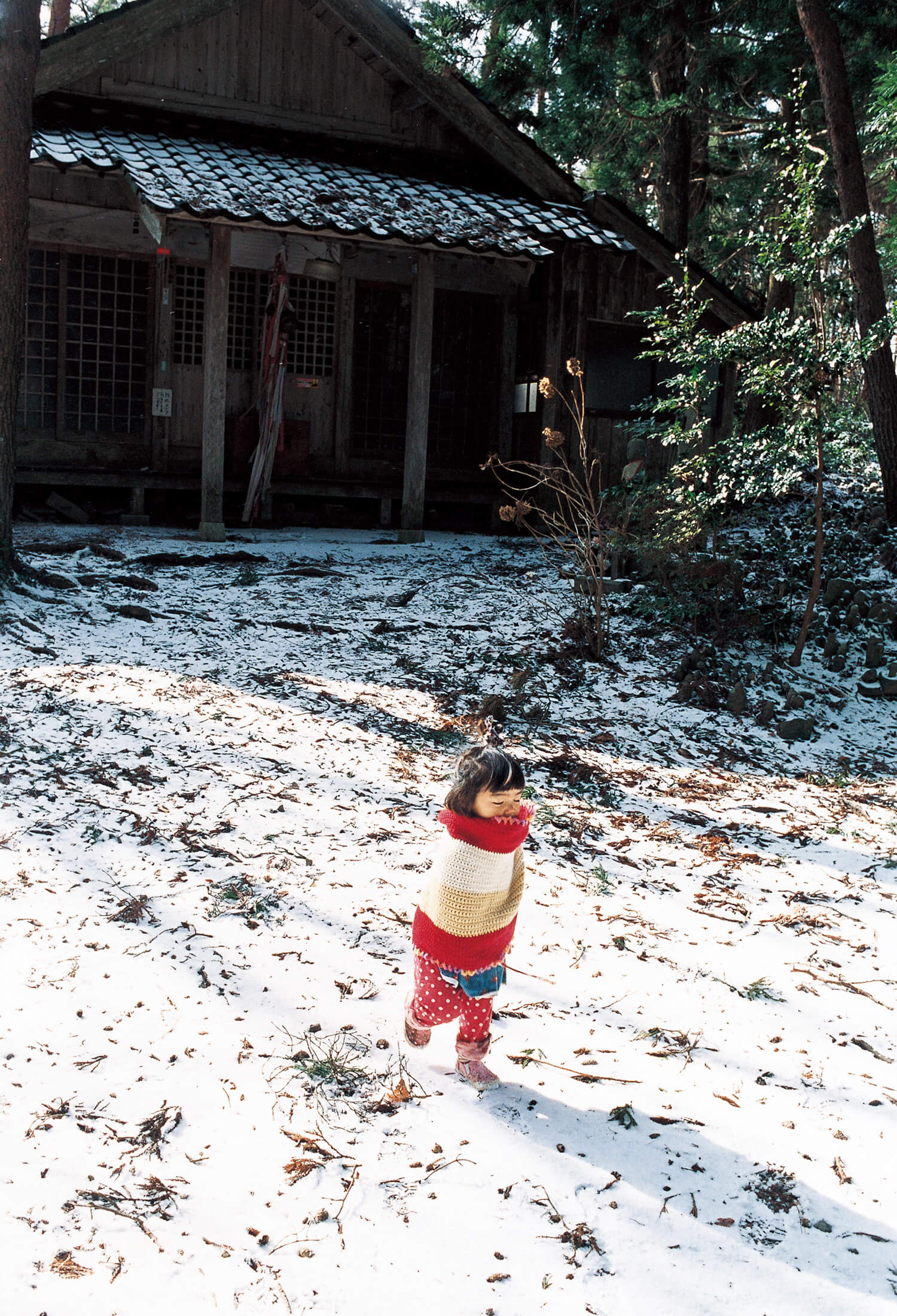 写真家 川島小鳥「作り込まない写真」子供と雪