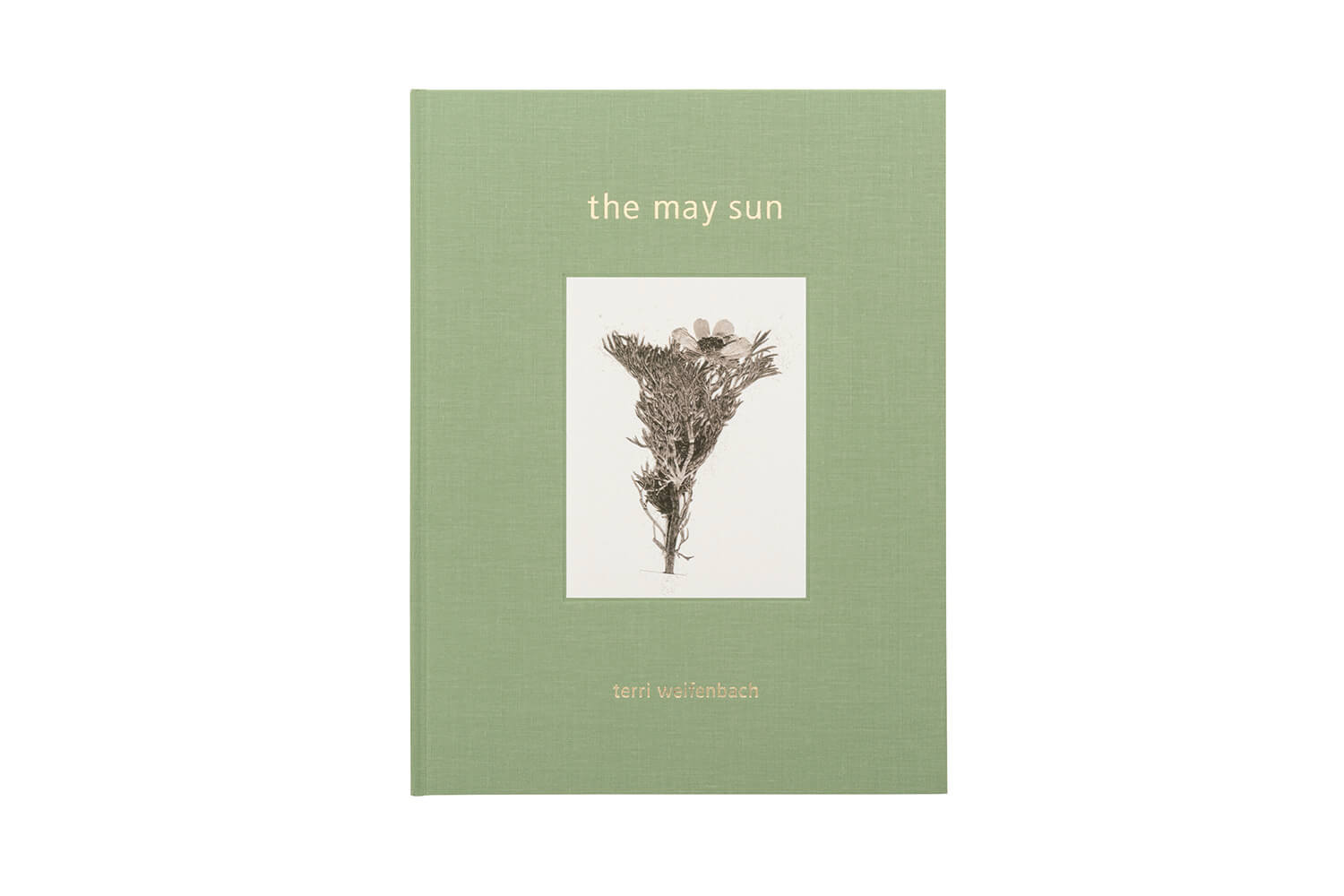 写真集 Terri Weifenbach『 the may sun』表紙