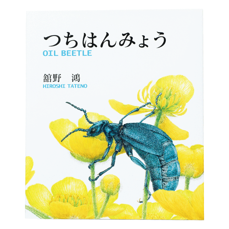 つちはんみょう_絵本_表紙