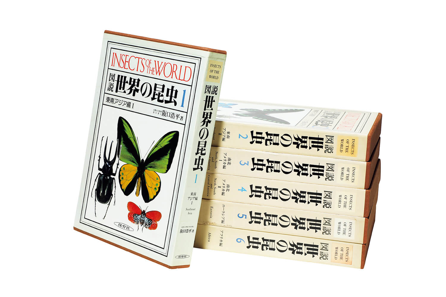 『図説 世界の昆虫』全6巻表紙 著／阪口浩平