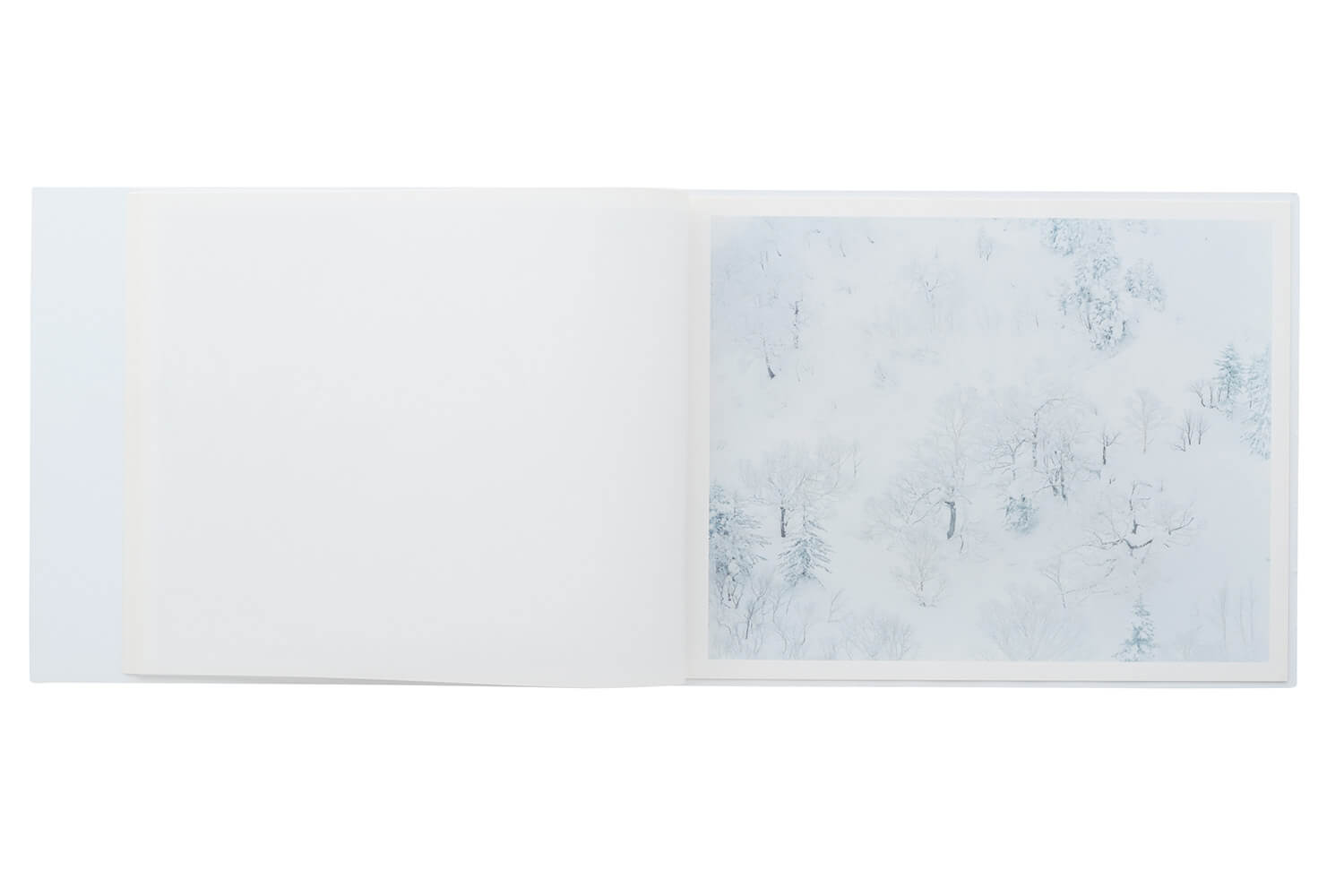 写真集　鈴木理策『 White』中面