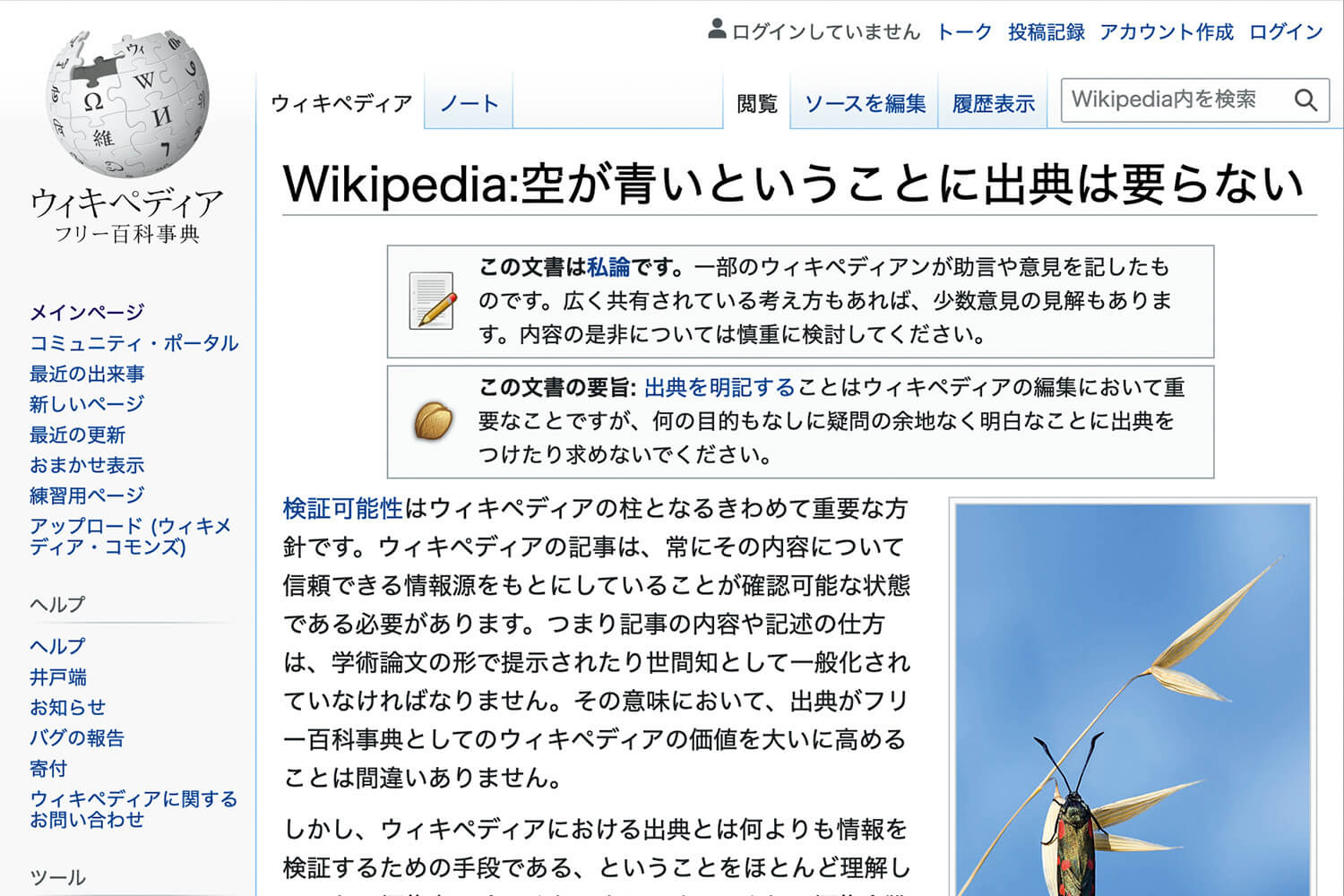 ウィキペディア「空が青い」ページ