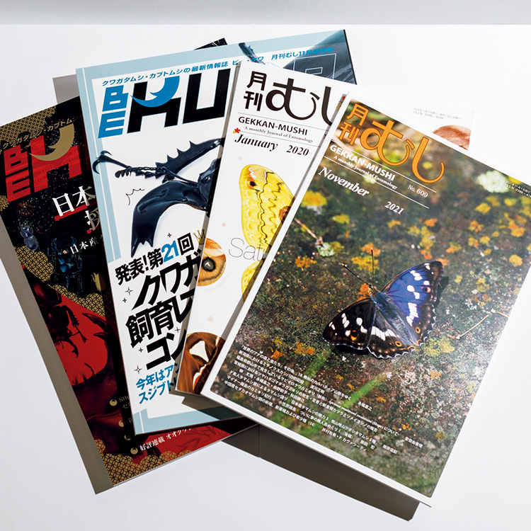 日本唯一の虫の総合誌『月刊むし』とクワガタ専門誌『BE−KUWA』