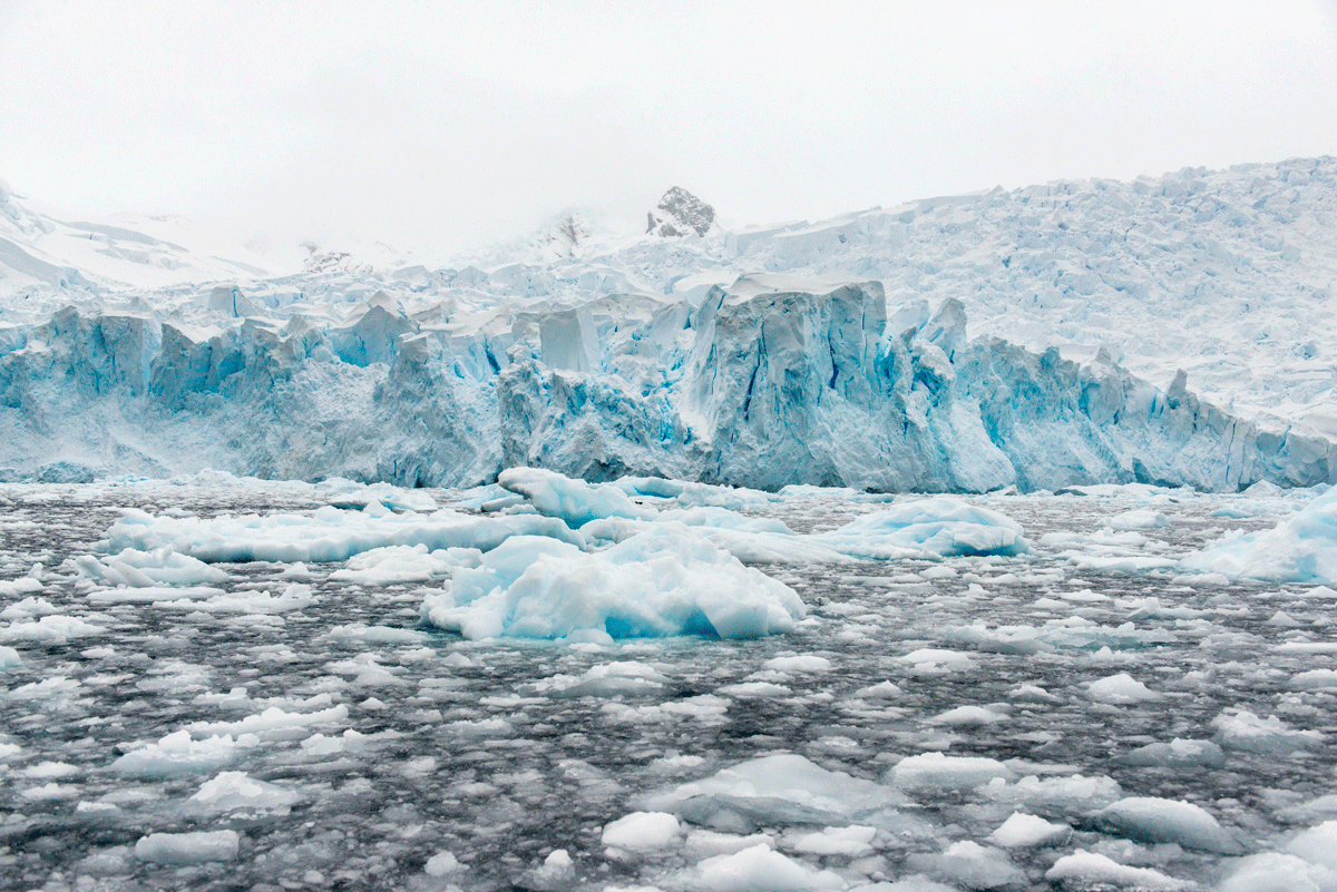 南極_パラダイス湾_流氷