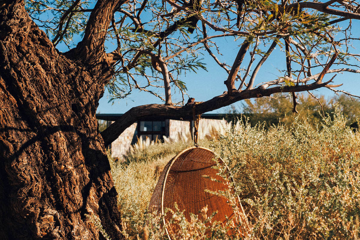 〈Tierra Atacama〉Hotel Boutique & Spa　枯れ木のオブジェ