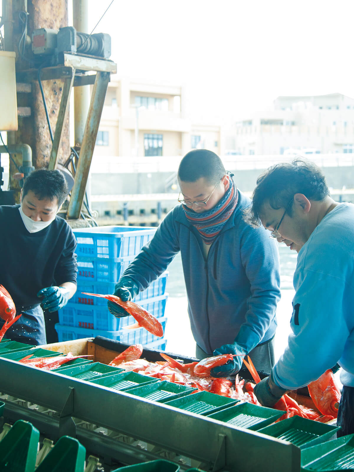 神津島港の漁協
