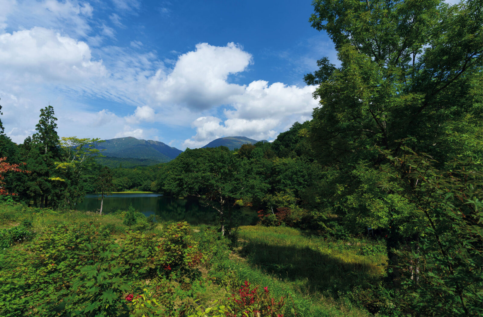 変若水の湯 つたや（月山志津温泉／山形県）宿の裏手にある五色沼、奥が湯殿山
