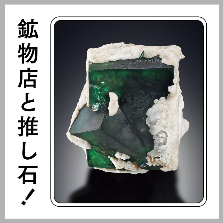 〈PEANUTS MINERALS〉ローライト／カルサイト