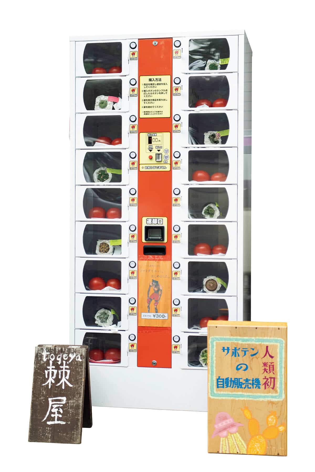 京都〈棘屋〉サボテン自販機