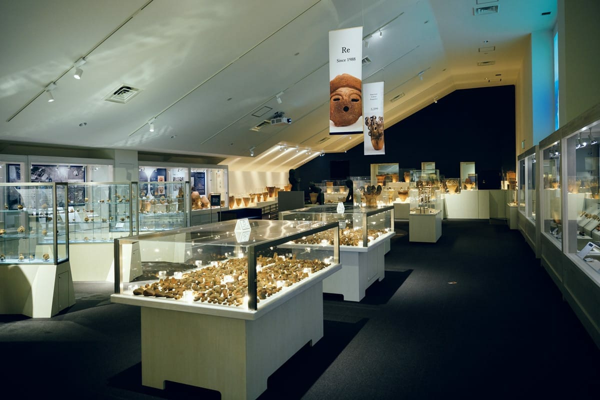 釈迦堂遺跡博物館の展示