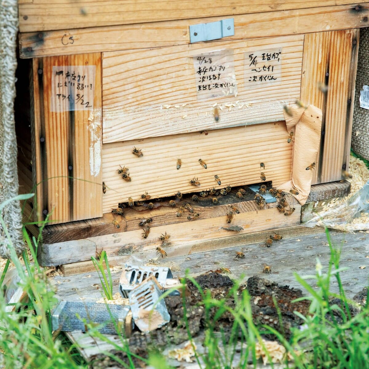 東京・青梅〈Ome Farm〉の養蜂の様子