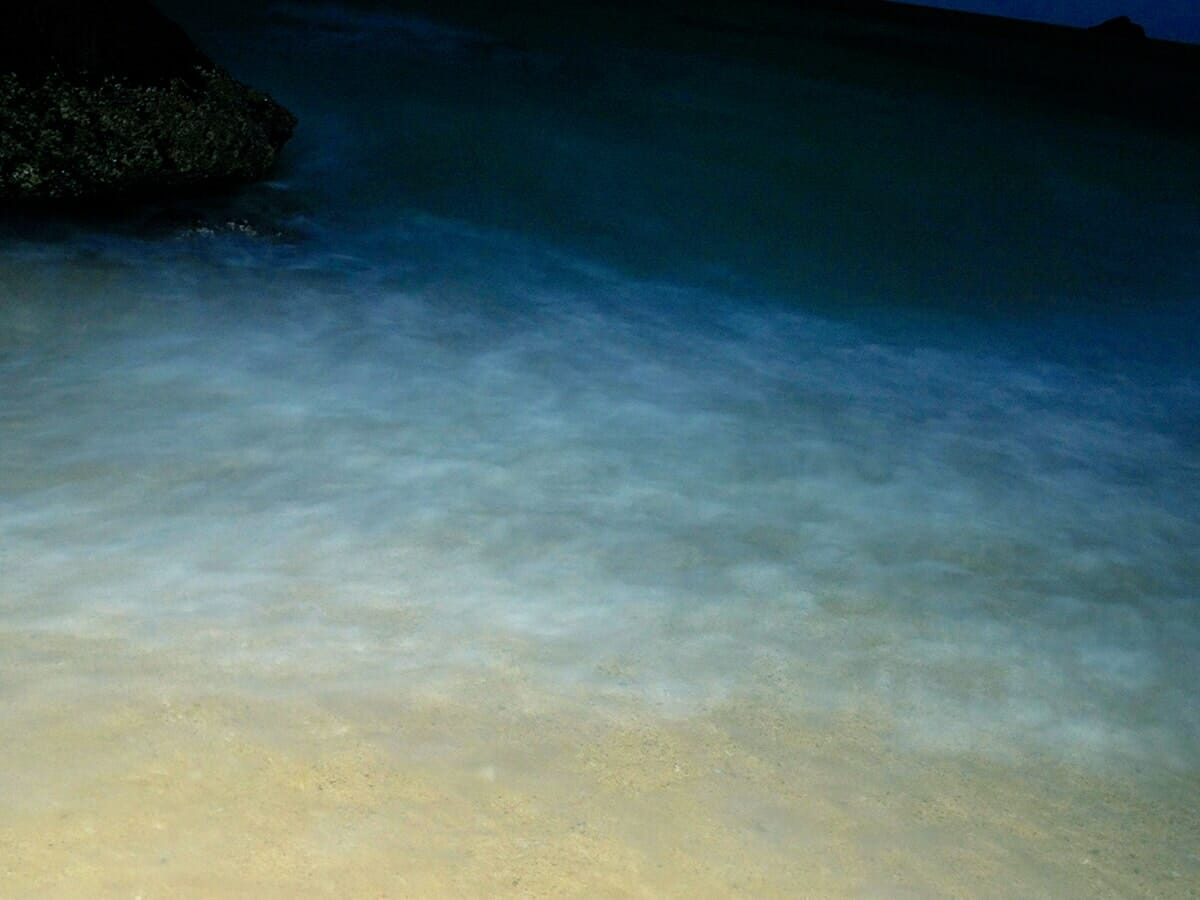 在本彌生さんの写真 奄美大島の夜の海