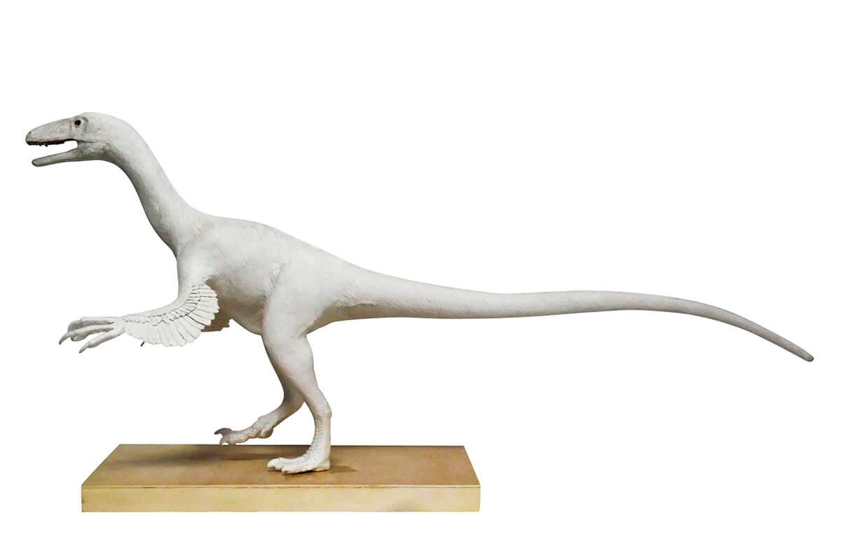 発泡スチロールで芯を形成する恐竜模型