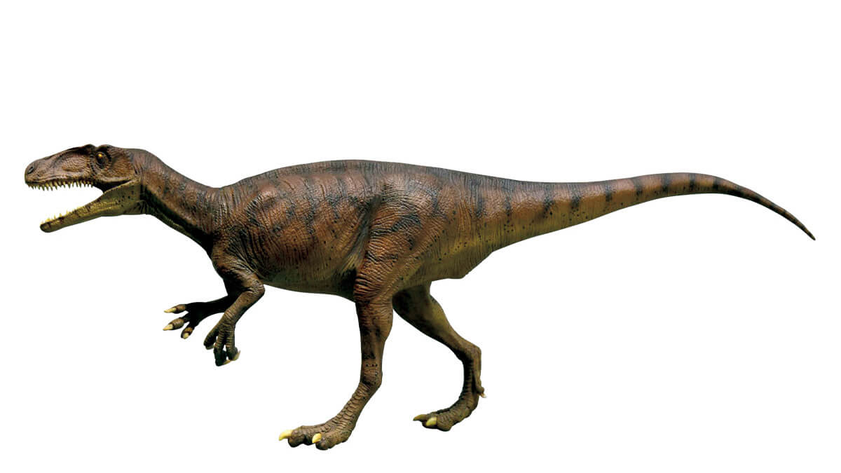 福井〈福井県立恐竜博物館〉フクイラプトル恐竜の模型