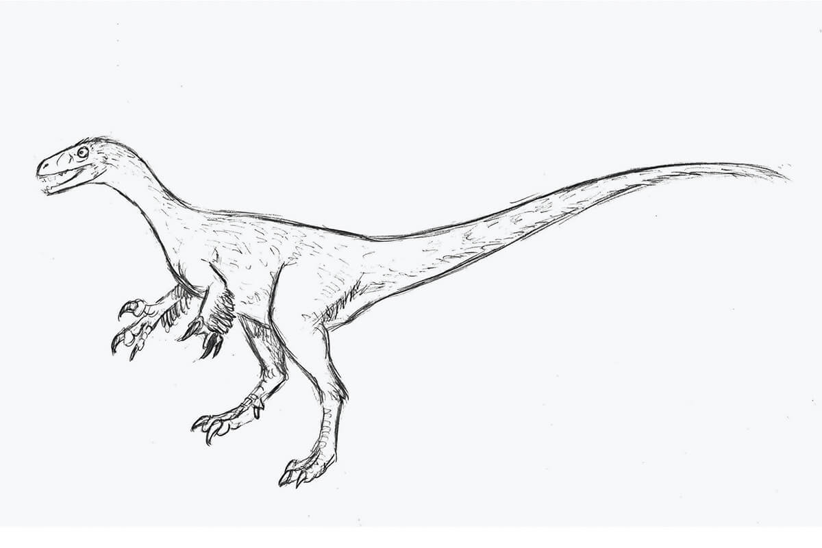 恐竜模型のスケッチ