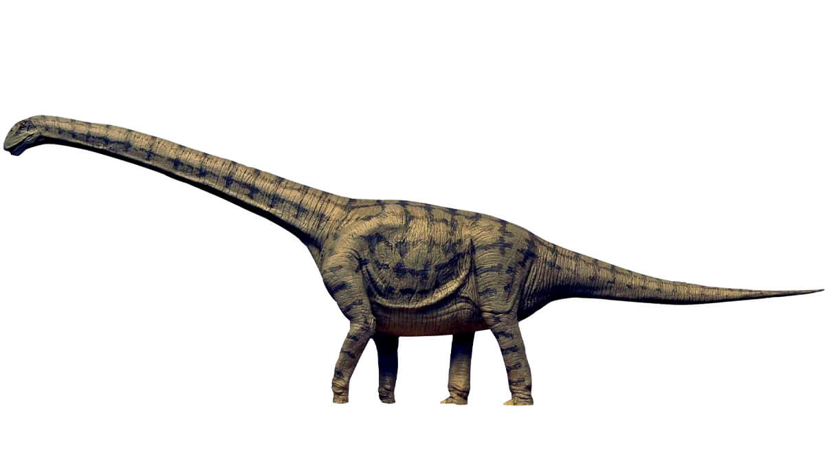 福井〈福井県立恐竜博物館〉恐竜の模型