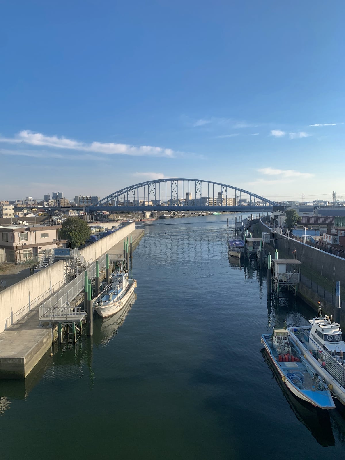 旧江戸川沿いの上に架かる東西線の鉄橋