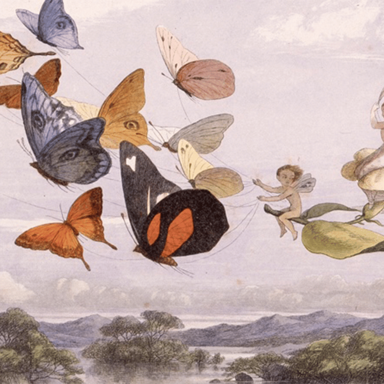 ウィリアム・アリンガム著、リチャード・ドイル画『妖精の国にて』より（1875年刊、栃木県立美術館蔵）