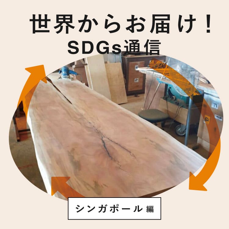 世界からお届け！SDGs通信 シンガポール編