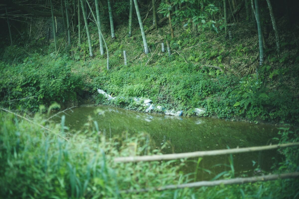 千葉県・鴨川　自然