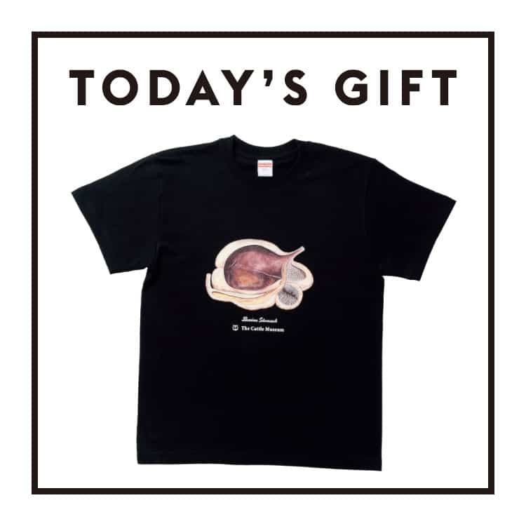 今日のギフト：〈奥州市牛の博物館〉の胃袋Ｔシャツ