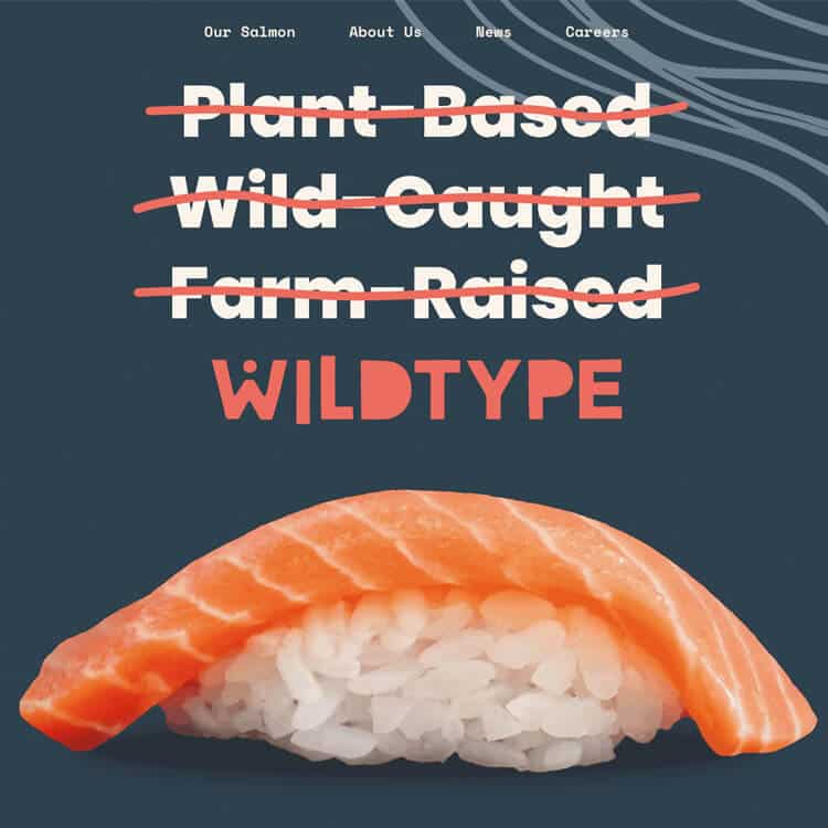 〈Wildtype Foods〉サイト画面