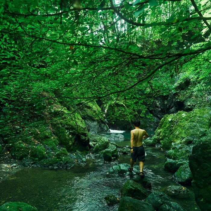 東京の森を堪能できるサウナ・五日市のキャンプ場〈自然人村〉