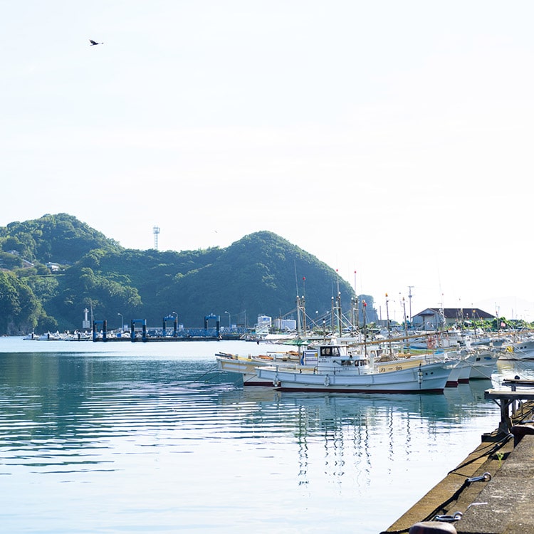 長崎の小さな漁港・茂木でのんびり「さるく」