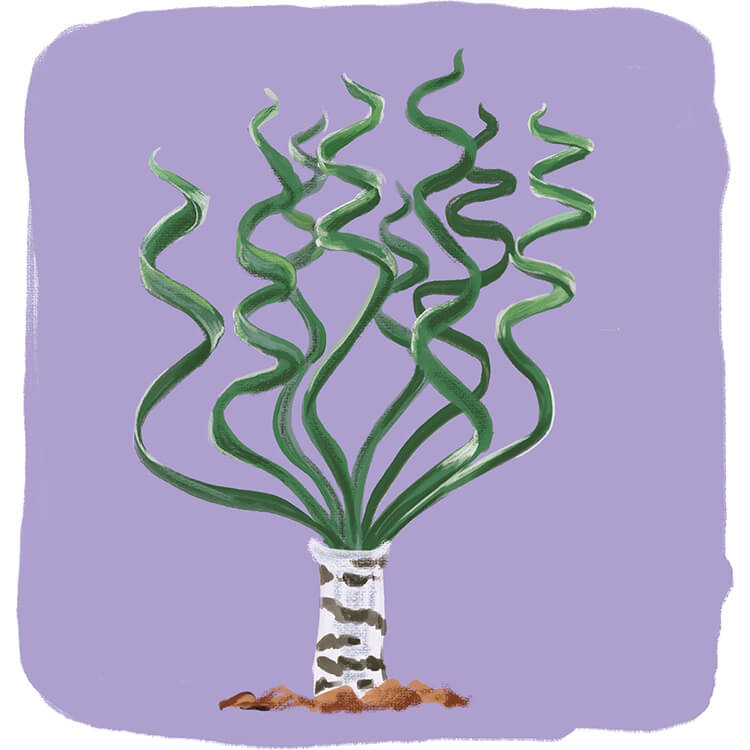 ハギーK イラスト