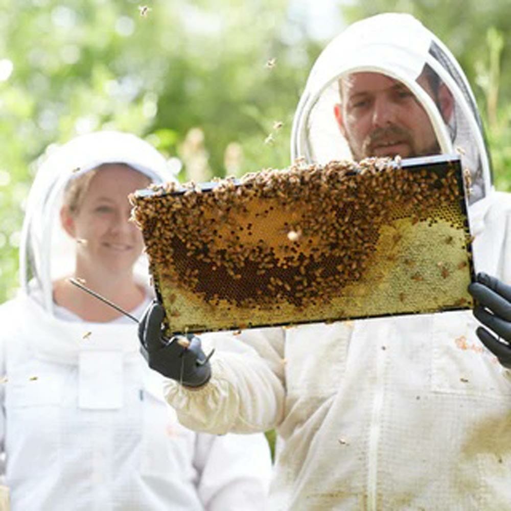 Ontario Honey Creation